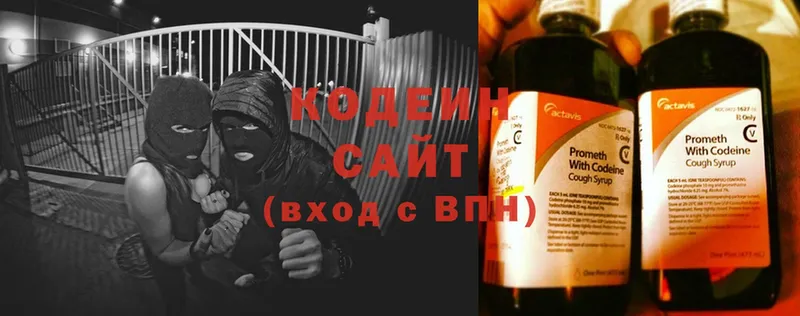 купить   Стерлитамак  Кодеиновый сироп Lean Purple Drank 